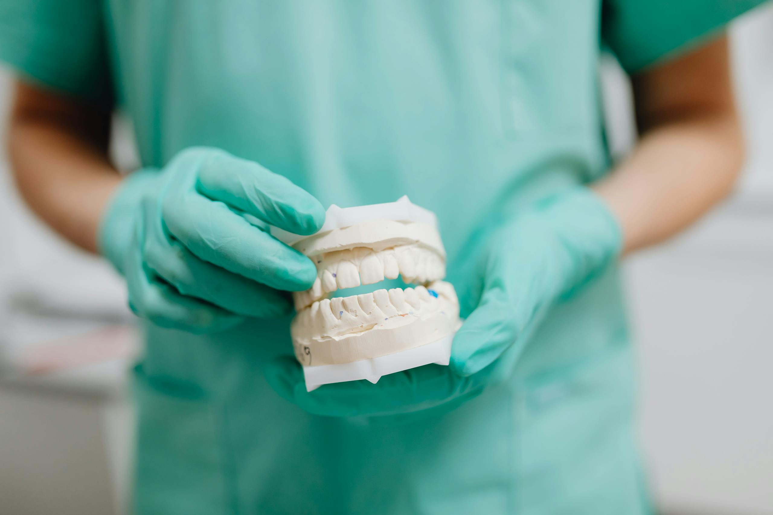 Dentist holding a dental cast with green gloves, representing dental care and prosthetics.
